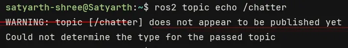 Figure 2: Warning message being displayed if we try to echo a topic which is not active.